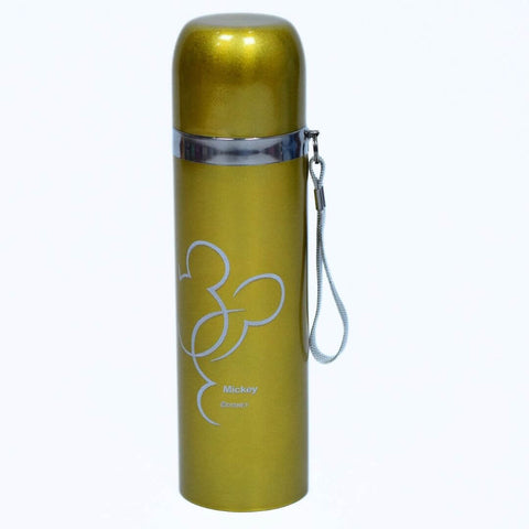 500ml Stainless Steel Water Bottle | Stay Hydrated in Style